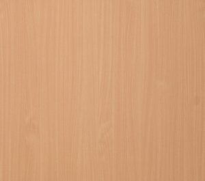 Bavarian Beech