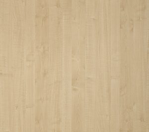 Asian Maple