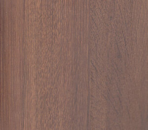 Tibet Oak