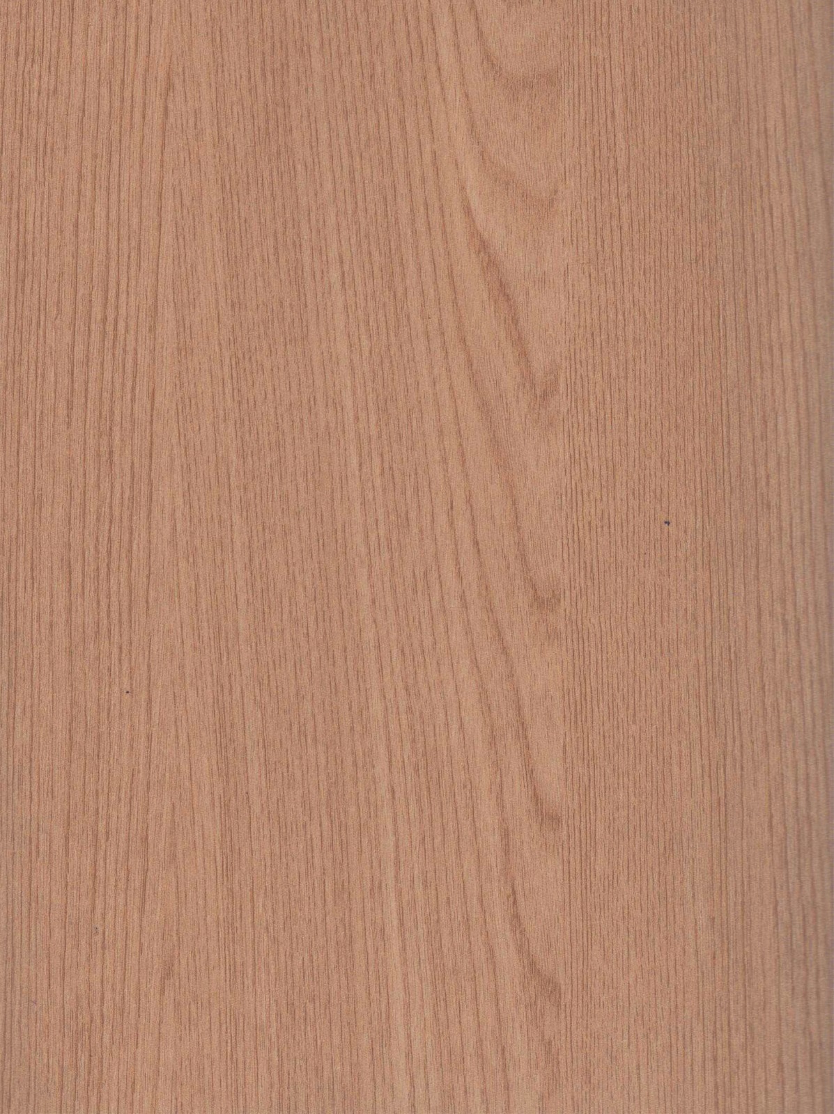 SF WHITE OAK
