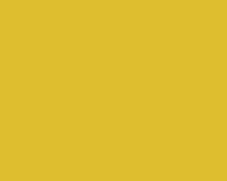11077 Yellow