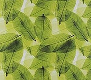 Verdure