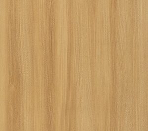 caucasian-elm-dark