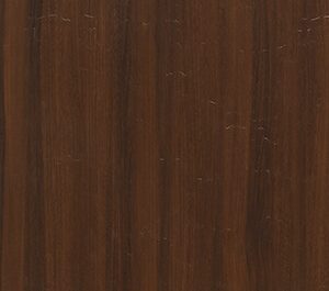 caucasian-elm-light