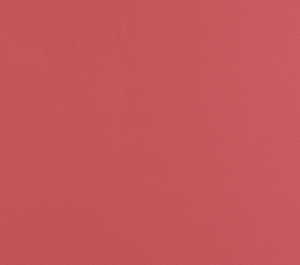 11064-pink