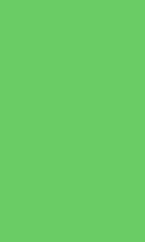 11078-green